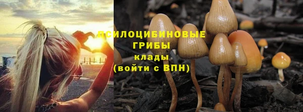 альфа пвп Михайловка