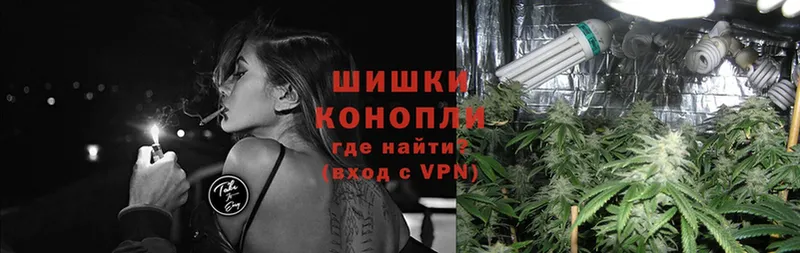 Бошки Шишки VHQ  Кедровый 